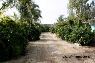 חלום בכפר 15